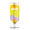 Panie Mojito Mix Fruit Juice 330ml – OEM & ODM Service