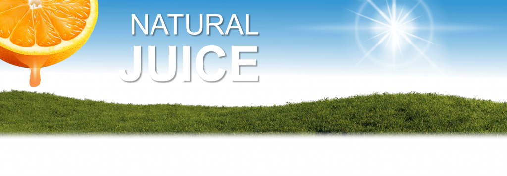 Panie Juice Beverage Manufacturing – Vietnam Beverage Suppliers Manufacture